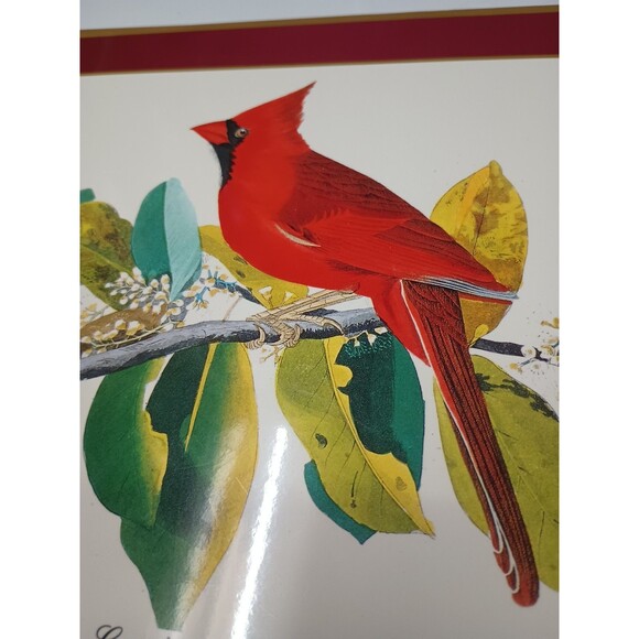 pimpernel placemats set 4 Audubon Birds Red Cardinal Indigo Grosbeak Cork Havell - Picture 9 of 10
